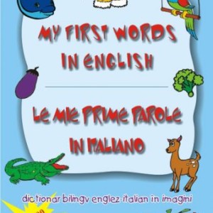 Dictionar bilingv englez-italian